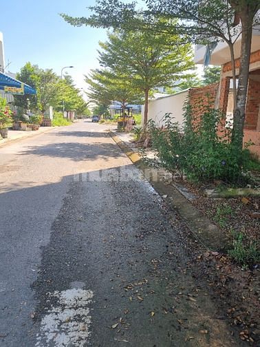 Đất 5 sào cần bán , vườn sầu riêng sẵn thu hoạch 