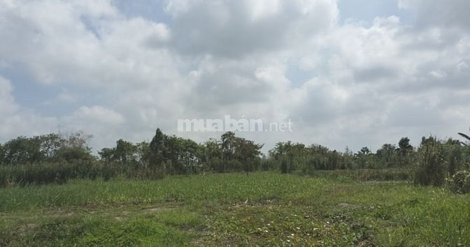 Nhường GẤP nền 20x70m, MT DT847 xây nhà máy, đã bơm cát, vuông đẹp
