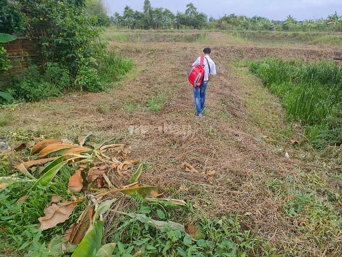 Nhường GẤP nền 20x70m, MT DT847 xây nhà máy, đã bơm cát, vuông đẹp