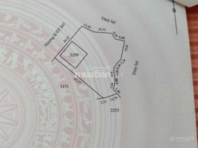 Bán GẤP/LỖ nền lớn 45x65m, DT847 LÔ GỐC, xây kho,biệt thự,phân lô