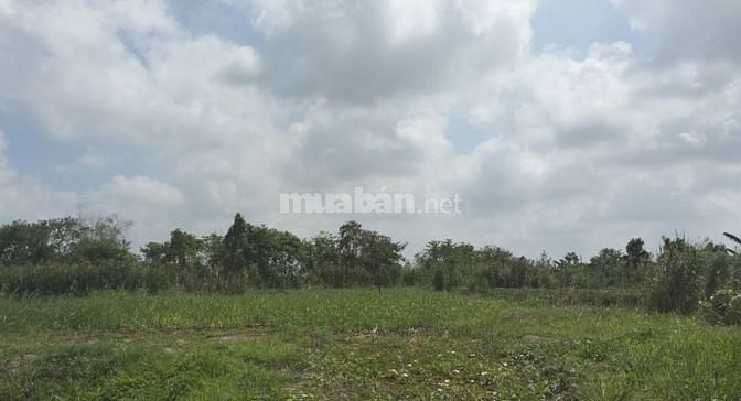 Bán GẤP/LỖ nền lớn 45x65m, DT847 LÔ GỐC, xây kho,biệt thự,phân lô