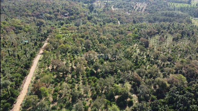 Bán 1.8Ha rẫy cà phê bằng như sân, 330M mặt đường bê tông, gần dân cư