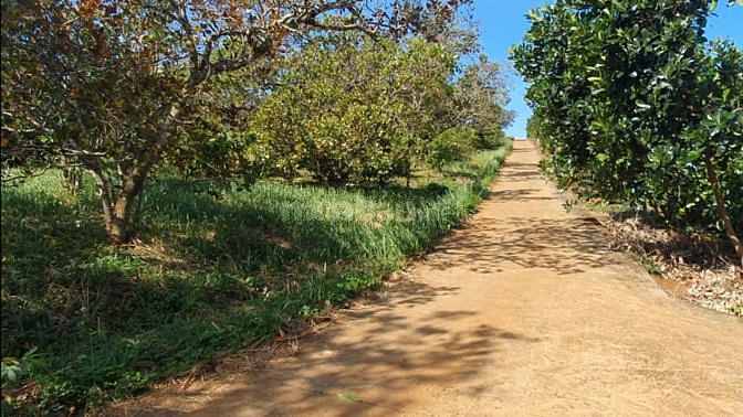 Bán 1.8Ha rẫy cà phê bằng như sân, 330M mặt đường bê tông, gần dân cư