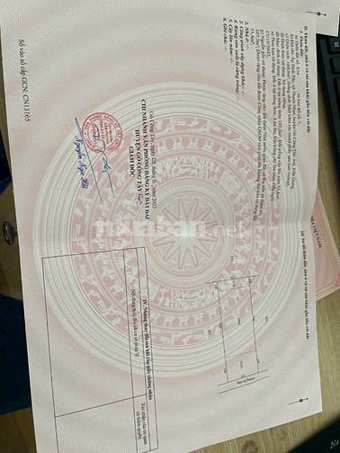 BÁN LÔ ĐẤT THỔ CƯ cách QL 50 100m Xã Thạnh Nhựt, Gò Công Tây 