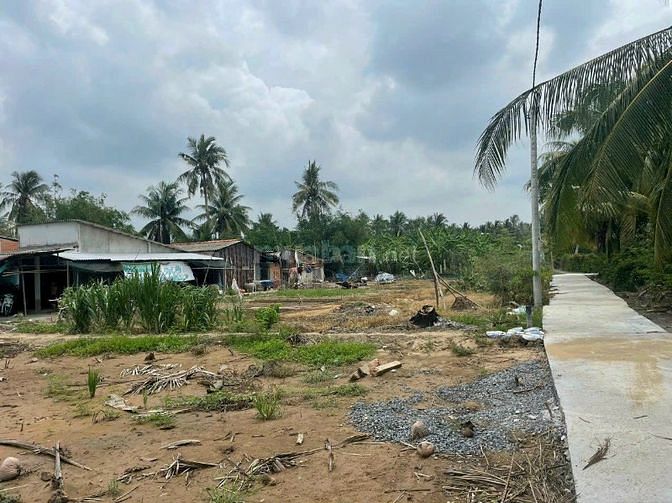 BÁN LÔ ĐẤT THỔ CƯ cách QL 50 100m Xã Thạnh Nhựt, Gò Công Tây 