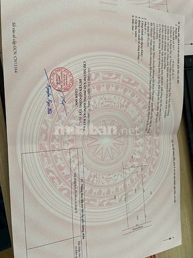 BÁN LÔ ĐẤT THỔ CƯ cách QL 50 100m Xã Thạnh Nhựt, Gò Công Tây 