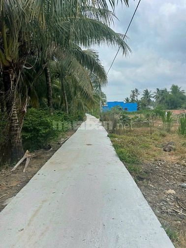 BÁN LÔ ĐẤT THỔ CƯ cách QL 50 100m Xã Thạnh Nhựt, Gò Công Tây 