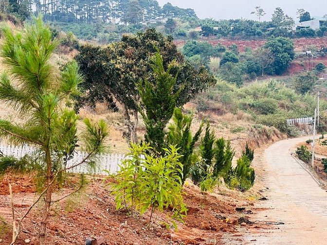 Đất Thị Trấn, MT đường 5m có sẵn thổ cư Gần nhựa DT725 Giá rẻ