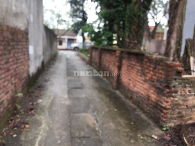 Bán đất ở ô góc vip 3 mặt tiền tại thôn Thố Bảo, xã Vân Nội, Đông Anh