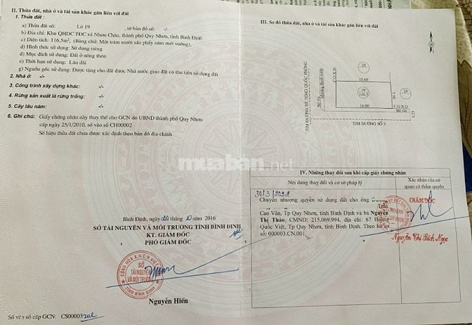 Đất nền ĐẢO CÙ LAO XANH-Nhơn Châu. 15*15m Sổ Hồng 100% thổ cư.