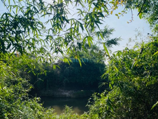 Đất View Sông Ninh Phụng gần TT Thị Xã Ninh Hoà 