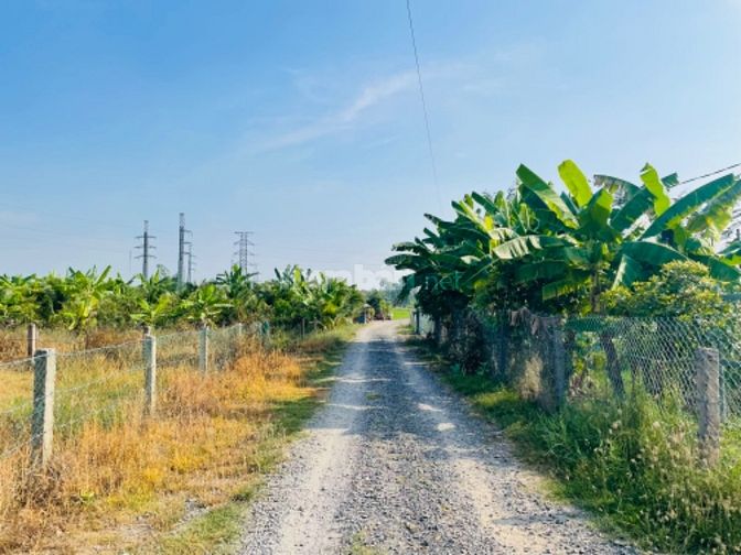 Đất View Sông Ninh Phụng gần TT Thị Xã Ninh Hoà 