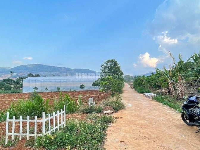 Bán lô đất sát nhựa đối diện cổng thôn Tầm Xá xã Đông Thanh giá 650 tr
