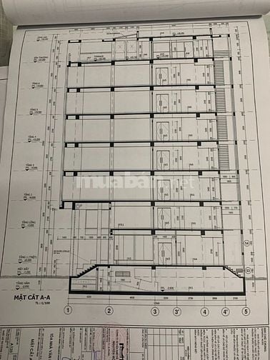 Cho thuê tòa nhà Nutifood (Diện tích: 8 x 20m) hầm 8 tầng, nhà mới.