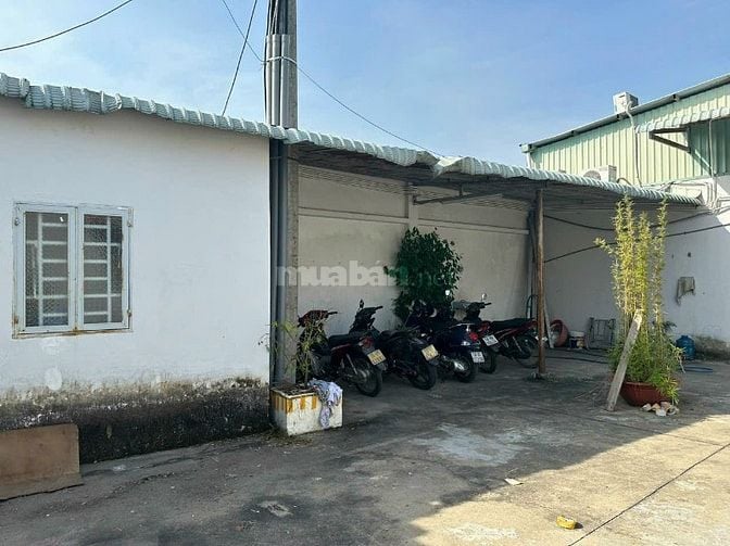 Cho thuê gấp kho xưởng đường Tỉnh Lộ 10, Phường Tân Tạo, Bình Tân