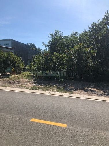 🔵 6x55 (358m2) 100TC Trưng Nhị, Kp8, Tân An, LaGi Giá Đầu Tư