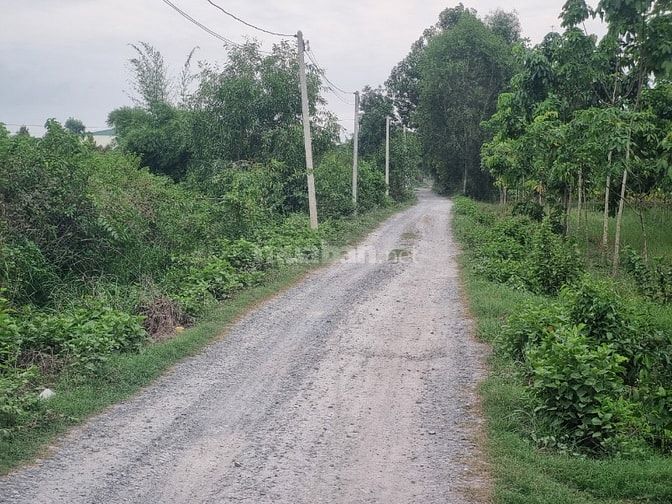 5539m2 có 1400m2 thổ cư. Ngay khu đô thị Phước Đông. 7 tỷ