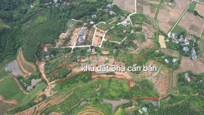 cần bán gấp 3ha đất thổ cư gần khu đô thị legacy hill