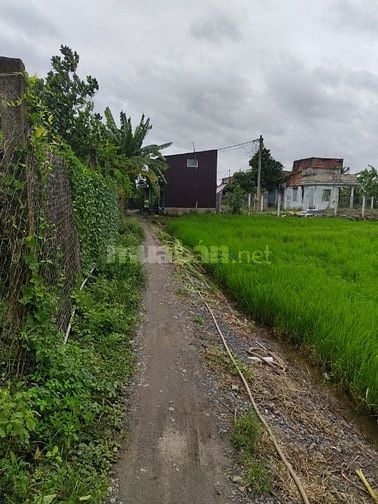 Đất xã Bình Chánh, DT: 100m2, sổ hồng riêng