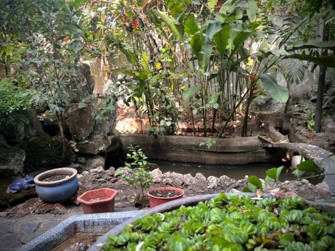 Biệt thự mặt tiền, đất gần 2000m2 có xưởng sản xuất. 100% thổ cư 