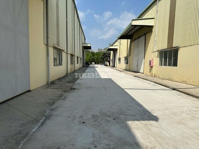 Cho thuê kho xưởng quốc lộ 1a Bình Chánh(giáp Gò Đen LA) 2000m2,50k/m2