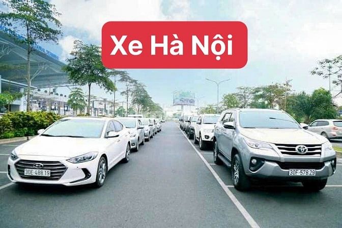 Có các loại xe cho thuê ngày, thuê tháng, Xe chạy dịch vụ bee, Grab 