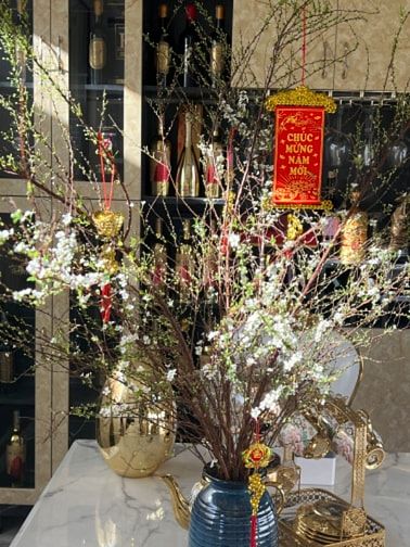 BÁN CĂN VILLA PHONG CÁCH HOÀNG GIA ở  TP. ĐÀ LẠT SIÊU ĐẸP, SIÊU SANG 