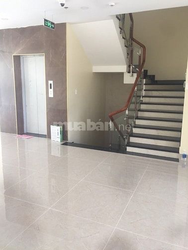 Giá chỉ 55 tỷ, tôi cần bán tòa nhà 7 lầu diện tích 8m x 18m P.12, Q10