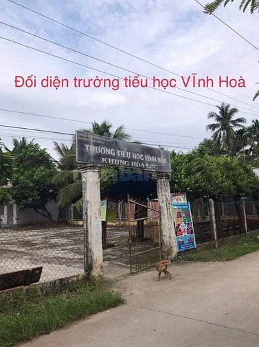 Bán đất Vĩnh Hoà, chợ Lách, 6 công, giá rẻ 3.6 tỷ, đường chính