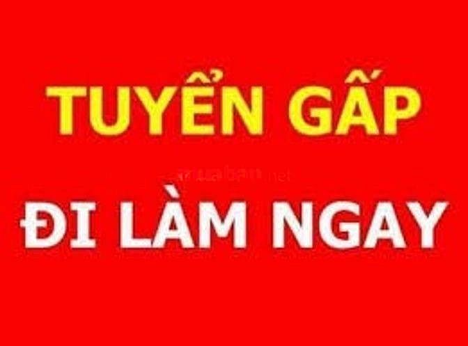 Cần tuyển người đi làm ngay, bao ăn trưa, thời gian 7h30-16h