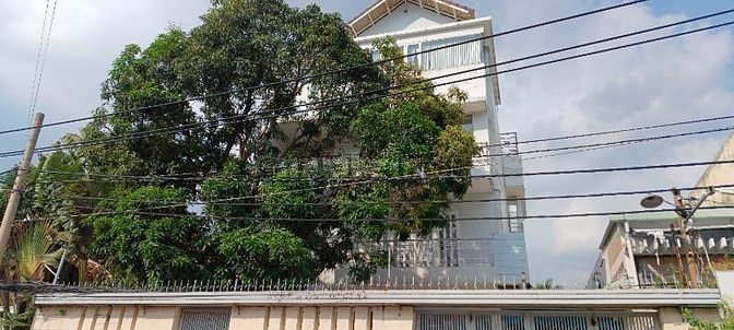 Bán nhà riêng thông qua đấu giá; DT đất: 241,2m2 mặt tiền đường Ung 