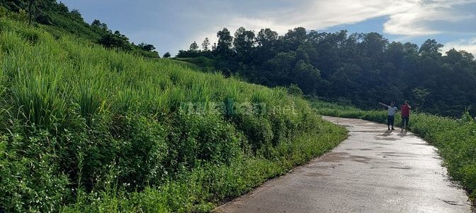 Ôi trời rẻ quá chỉ 1xxtr có ngay 6000m view cực đỉnh tại cao phong hb