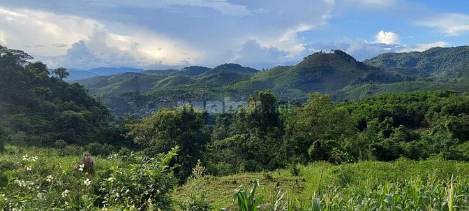 Ôi trời rẻ quá chỉ 1xxtr có ngay 6000m view cực đỉnh tại cao phong hb