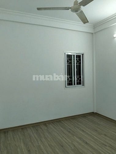 Cho thuê nhà 4 tầng, mới 100% tại ngõ 71 phố Tân Ấp, Ba Đình, HN