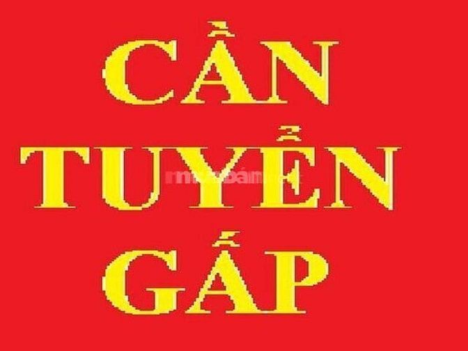 Cần tuyển 2 thợ cắt may áo dài, 2 thợ may dạ hội, 2 thợ kết cườm.....