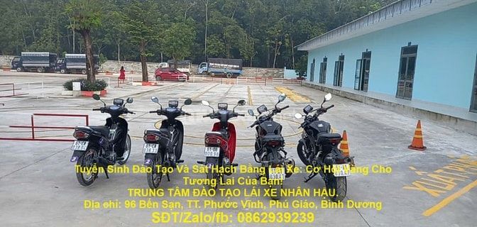 Tuyển Sinh Đào Tạo Và Sát Hạch Bằng Lái Xe: Cơ Hội Vàng