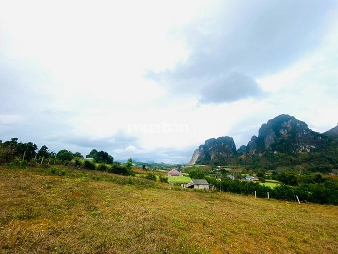 4000m có tận 1300m đất thổ cư view cực thoáng đẹp cần bán Hòa Bình