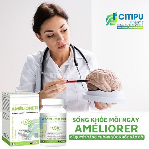 Tìm đốc tác phân phối Viên uống  Améliorer Ginkgo Biloba nhập khẩu 