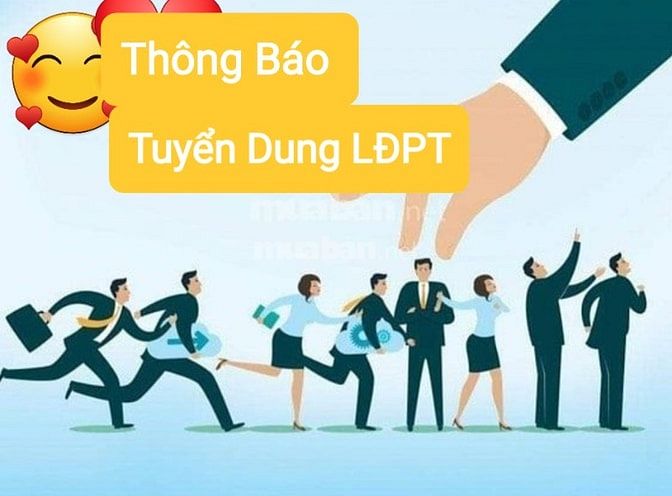 CẦN GẤP 3  CHỊ NỮ LÀM PHỤ KHO VÀ TẠP VỤ KHO HÀNG . 