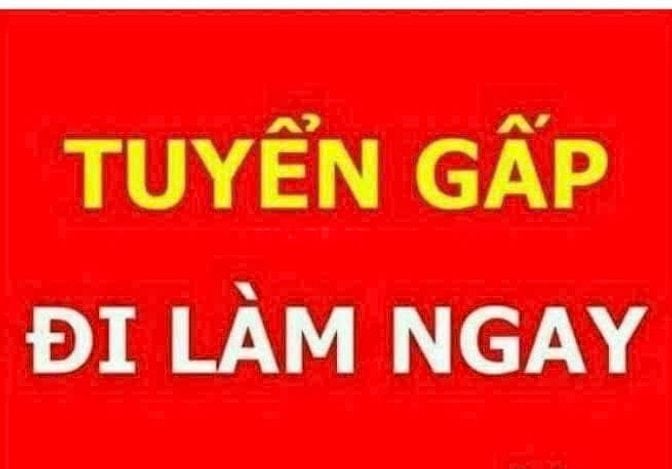 Văn phòng công ty cần tuyển 3 tạp vụ lau chùi dọn dẹp đi làm liền