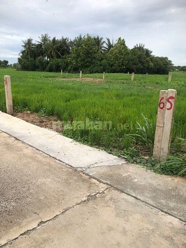 Bán đất thổ cư (5x40m) đường bêtông xe hơi gần Công ty Việt Long Hưng