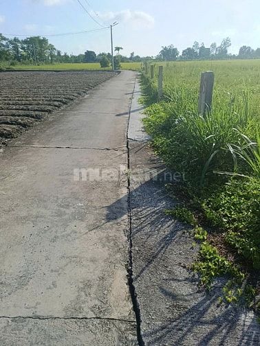 Bán đất thổ cư (5x40m) đường bêtông xe hơi gần Công ty Việt Long Hưng