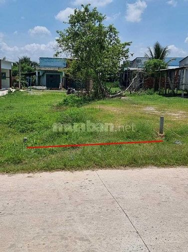 Bán lô đất 200m² ngang 8m, đường ô tô-Bình Hưng, Bình Chánh - Giá tốt