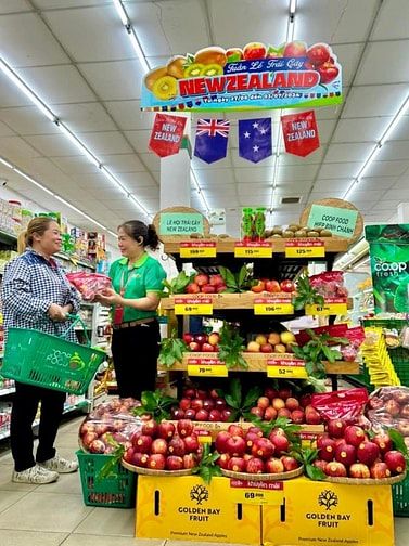 COOP FOOD TUYỂN GẤP NHÂN VIÊN BÁN HÀNG 