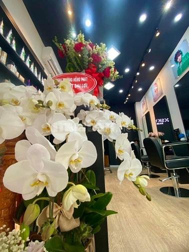  CẦN SANG GẤP SALON TÓC VÀ GỘI ĐẦU DƯỠNG SINH