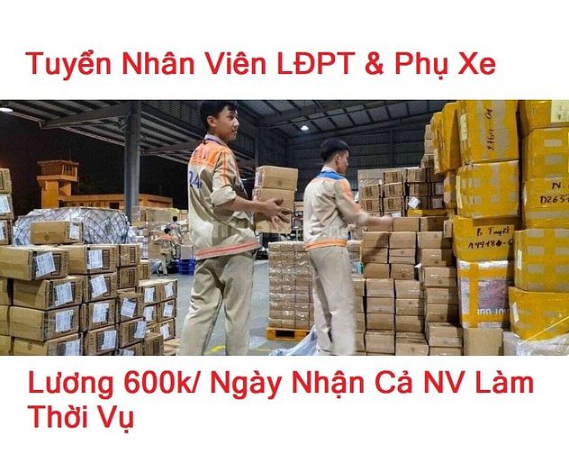 Tuyển Dụng Tài Xế, Lơ Xe Lương 16tr/t ,LĐPT Xếp Hàng Bánh Kẹo 600k/ng