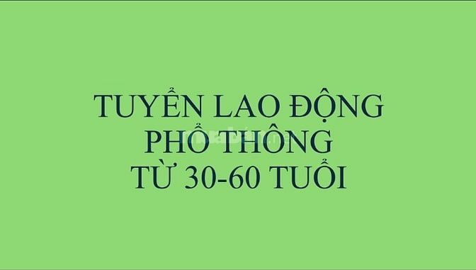 Công việc phù hợp cho người lớn tuổi từ 30-60 tuổi