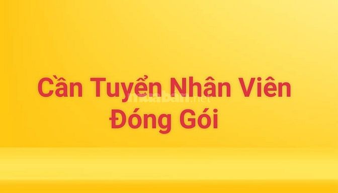 Nhân viên đóng gói Kiểm  soát hàng hóa 