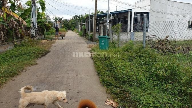 1,5 tỷ/1000m đất vườn (CLN) Phú Hữu- Nhơn Trạch đường xe hơi tới đất