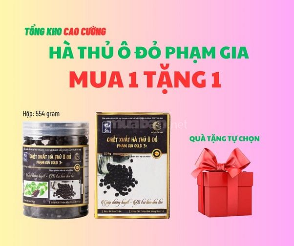 mua 1 tặng 1 Hà thủ ô Phạm Gia gold 3 size 554gram